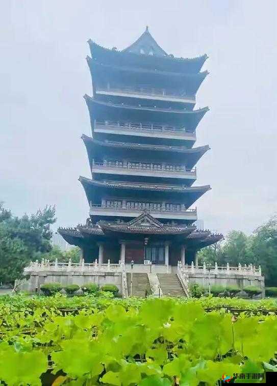 清风阁我爱干在线观看:精彩内容不容错过