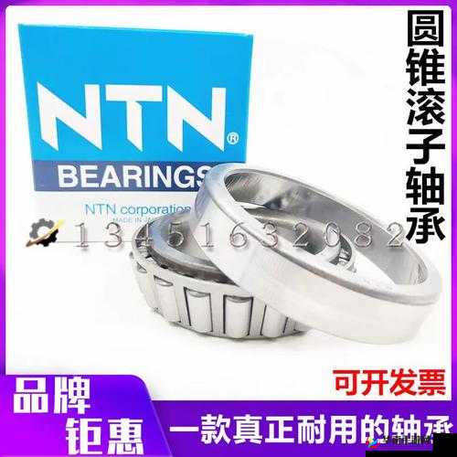 日本 NTN32219 轴承相关内容