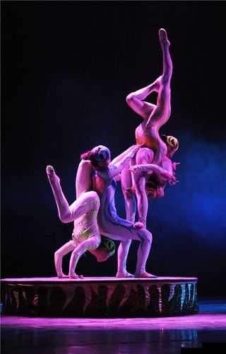 震撼杂技:挑战人体极限