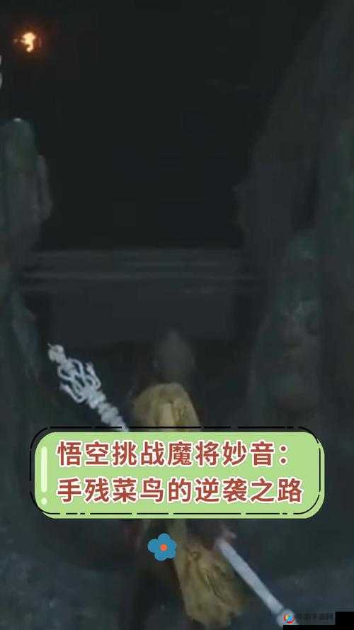 《国喵喵传》武将传承详解：丝逆袭之路的秘籍与策略解析