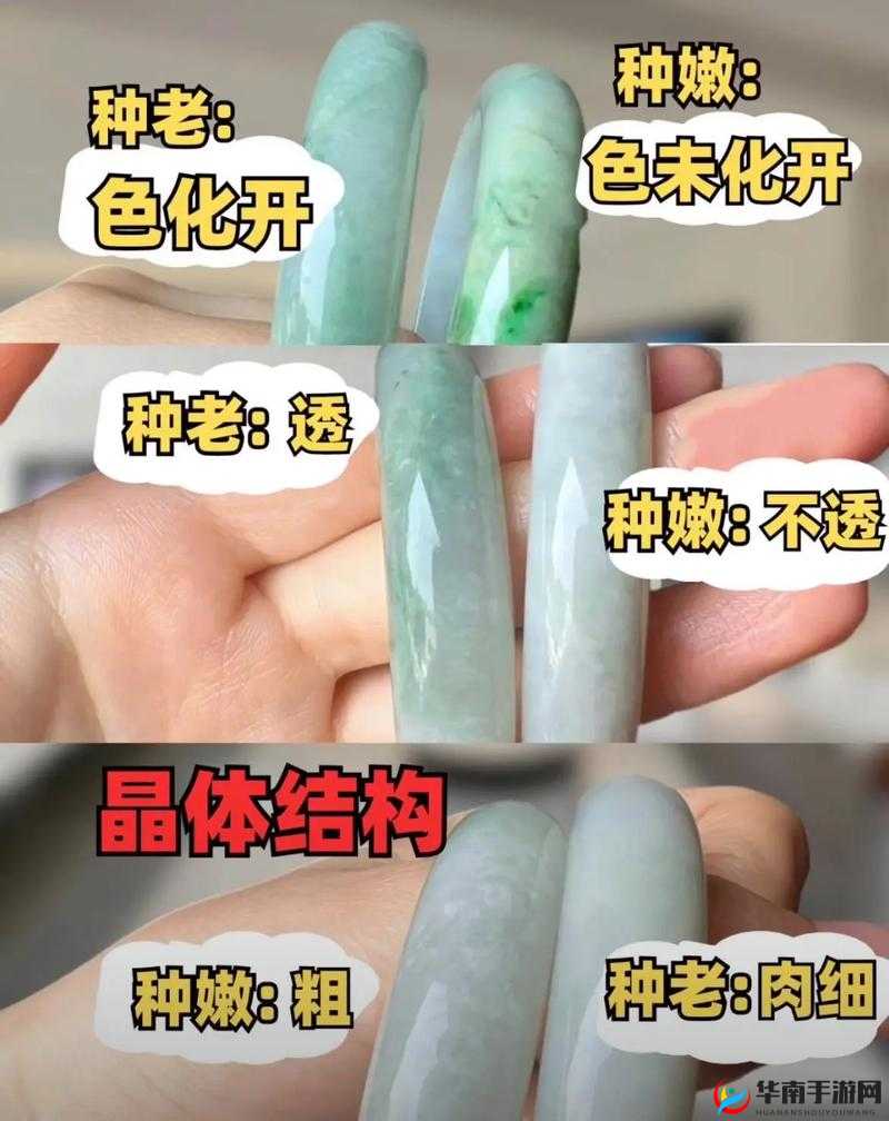 择天记手游家族传功新手秒升秘籍与快速攻略