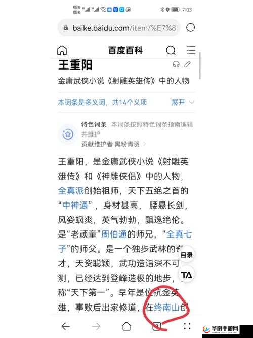 射雕英雄传3D：王重阳深度解析与培养指南