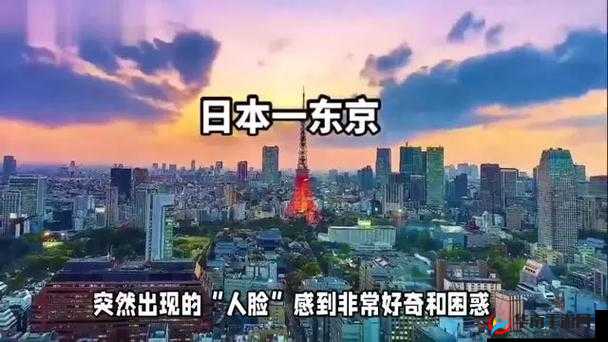 24 小时日本高清免费看：激情无限的视觉盛宴