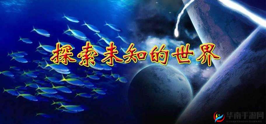 色谱网 18 禁：探索未知的世界