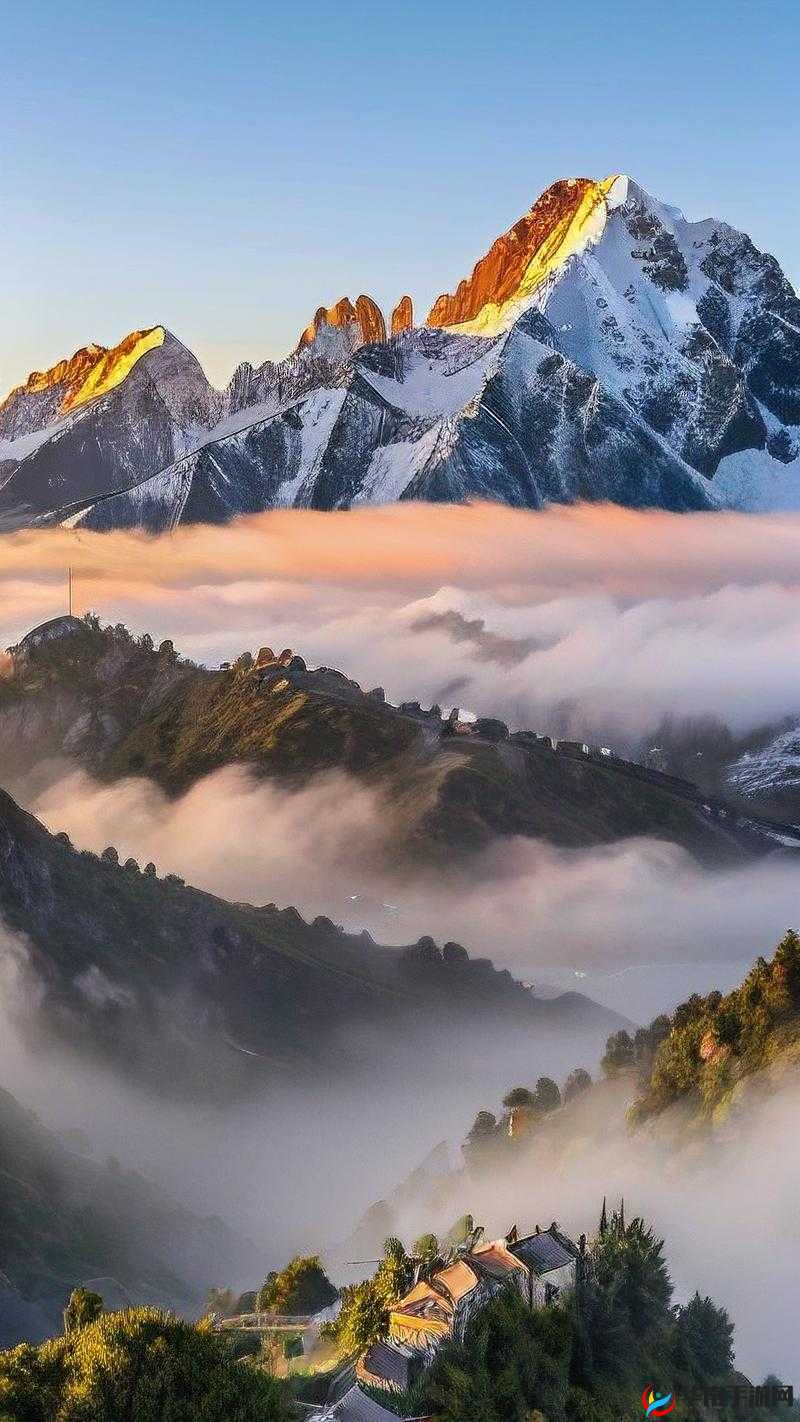 亚洲高清在线观看视频：领略亚洲之美