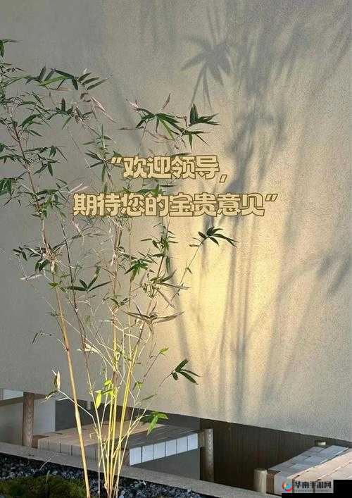 老 BWBWBWBWBW 对欢迎您：热烈欢迎您的到来