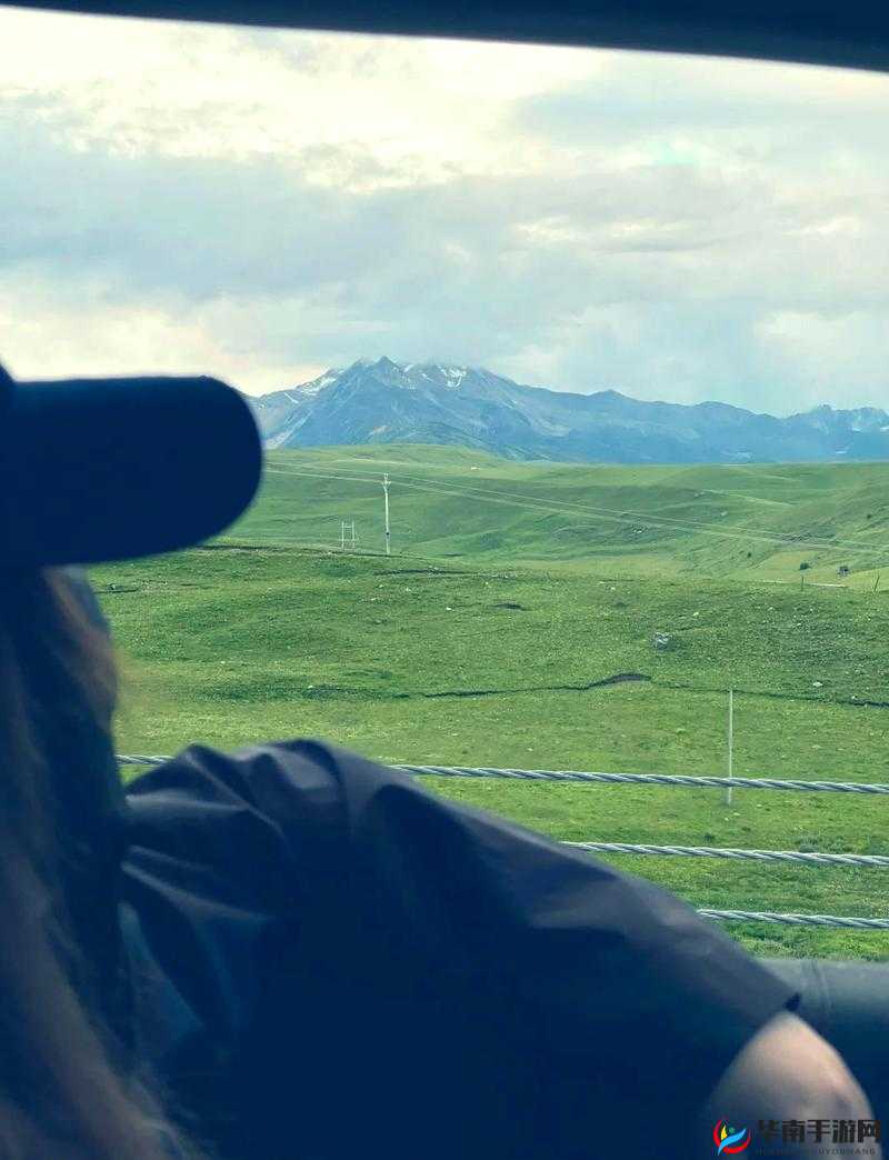 三叶草 wwww 在线观看:一场视觉盛宴等你来