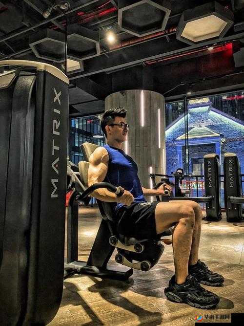 疯狂健身课李欣笔趣：开启热血健身之旅