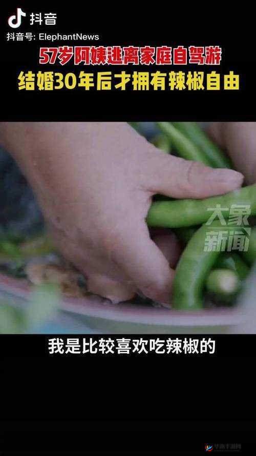 2021 最新热播日韩无码：第 36 页，辣椒资源全集来袭