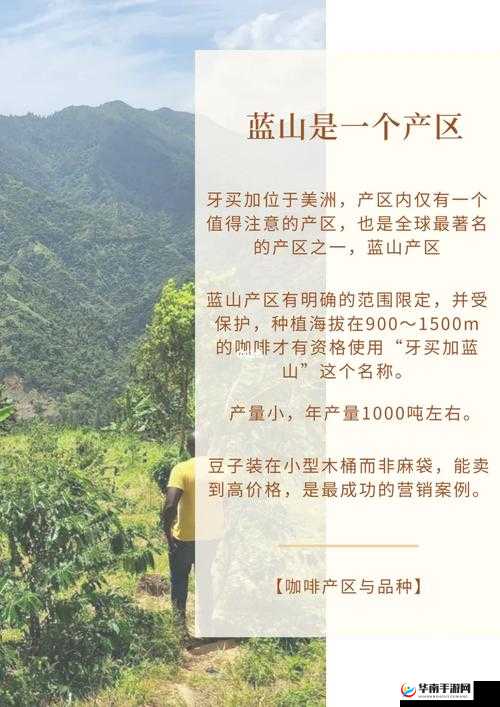 9 精产国品一二三产区详细介绍