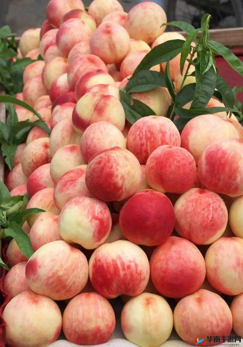 水蜜桃 2：独特魅力等你来享