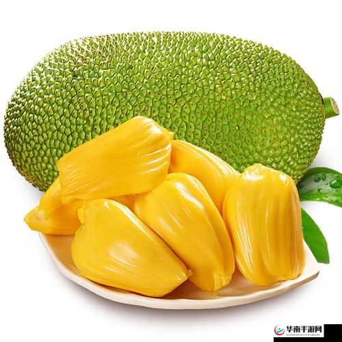 菠萝菠萝蜜视频高清播放：畅享精彩无极限