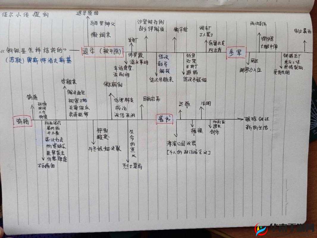 从小做到大骨科兄弟年上的成长历程