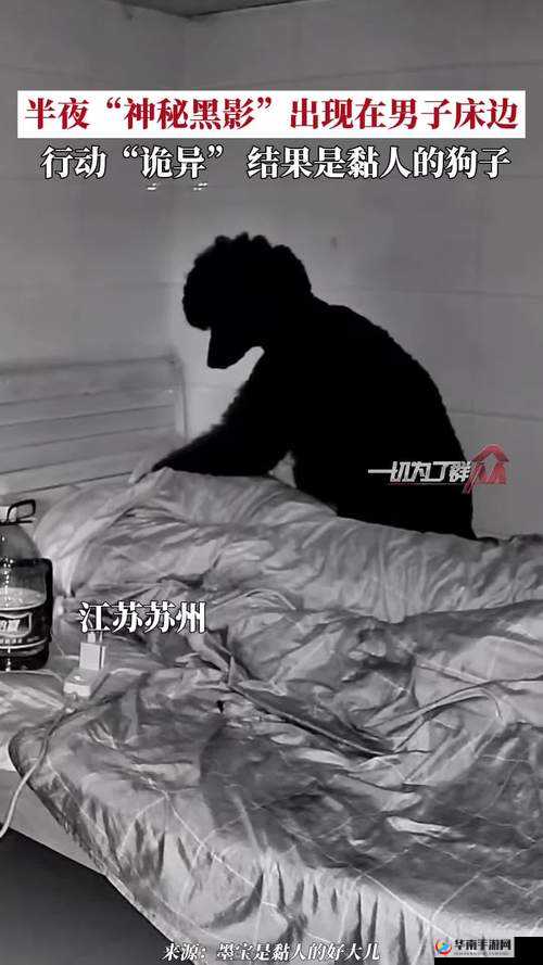 大神盗摄潜入：神秘行动背后的秘密