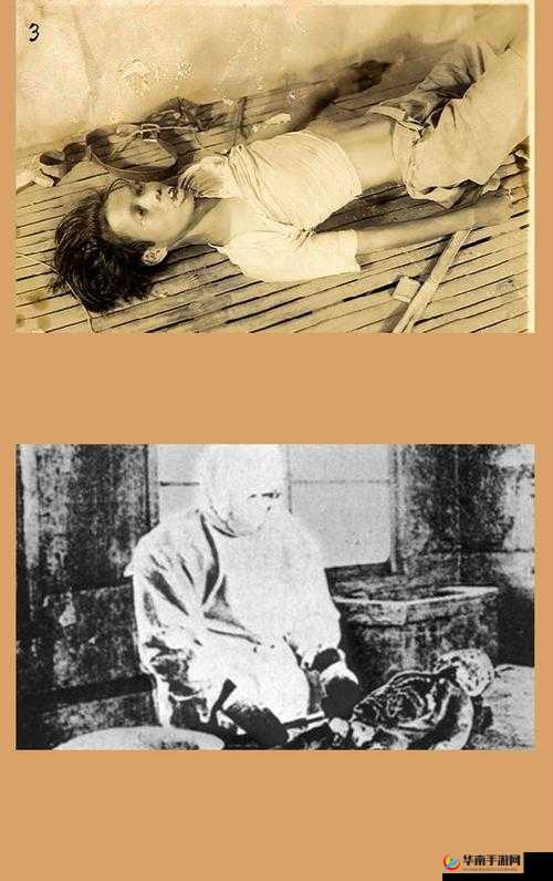 国产嘼皇 bestiality:国产兽皇的传奇故事