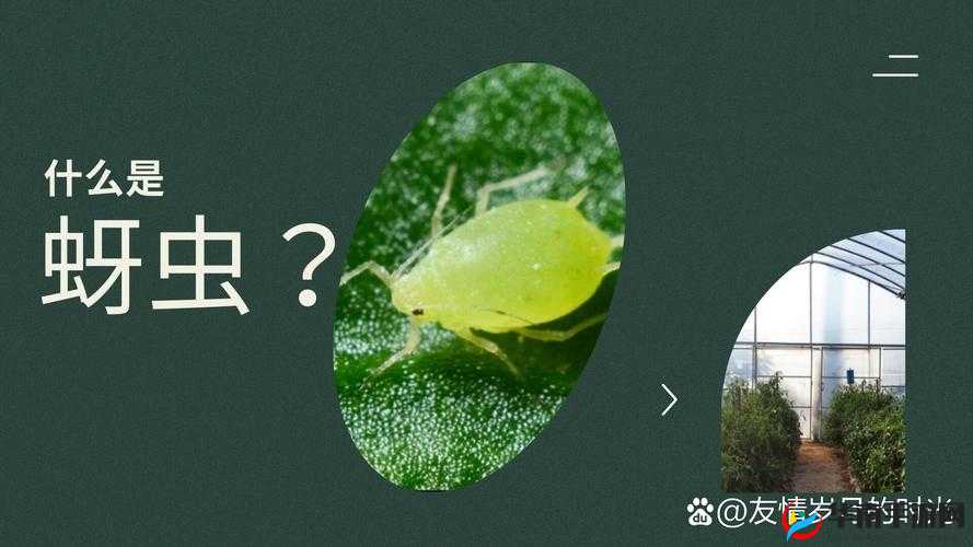 Grounded：如何驯服蚜虫？