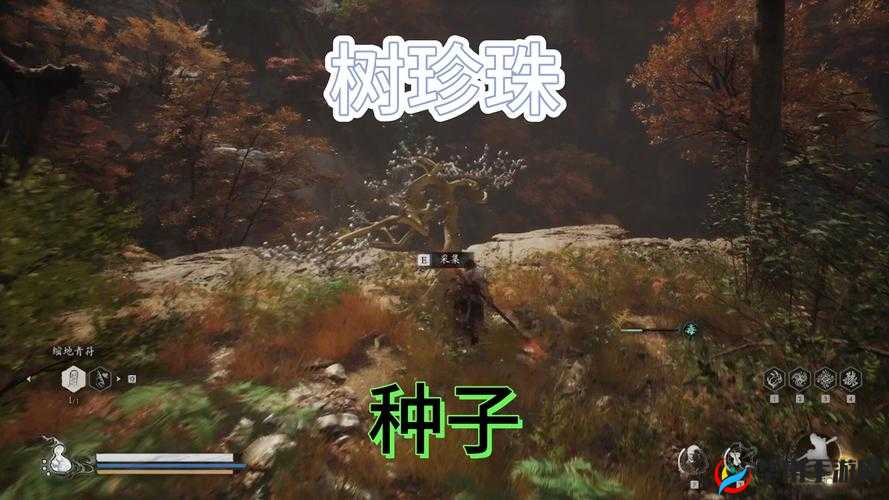 《符文农场5》树种子探秘之旅