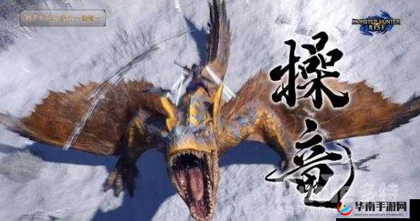 怪物猎人崛起操龙撞墙技巧详解:操作指南与实战应用