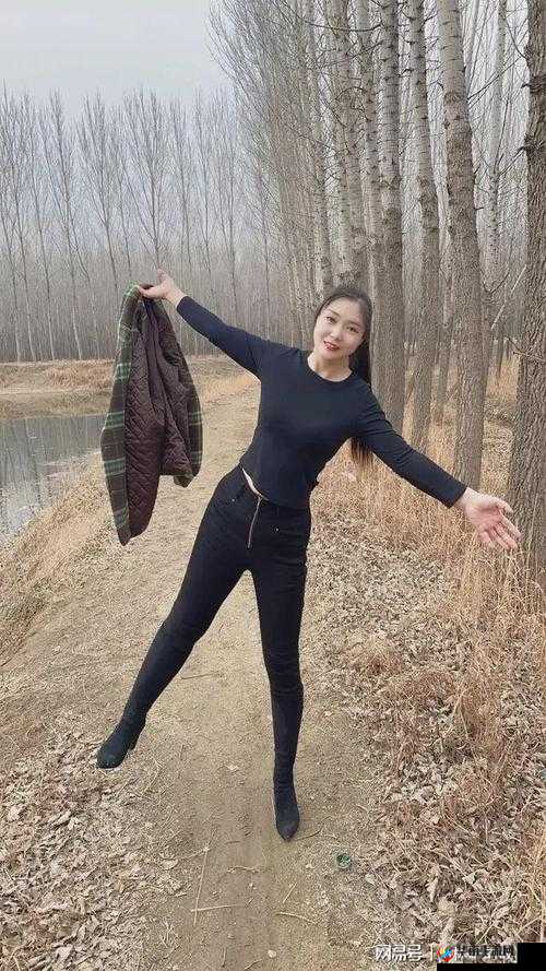 BXBXBXBX 性老熟妇 XXX：揭示婚姻背后的真相