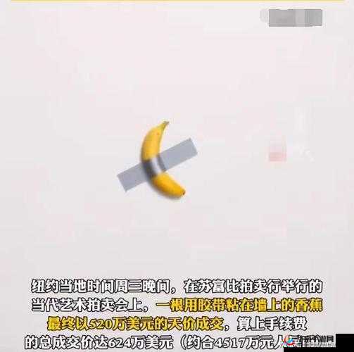 国产精品久久久久久精品香蕉：优质之选不容错过