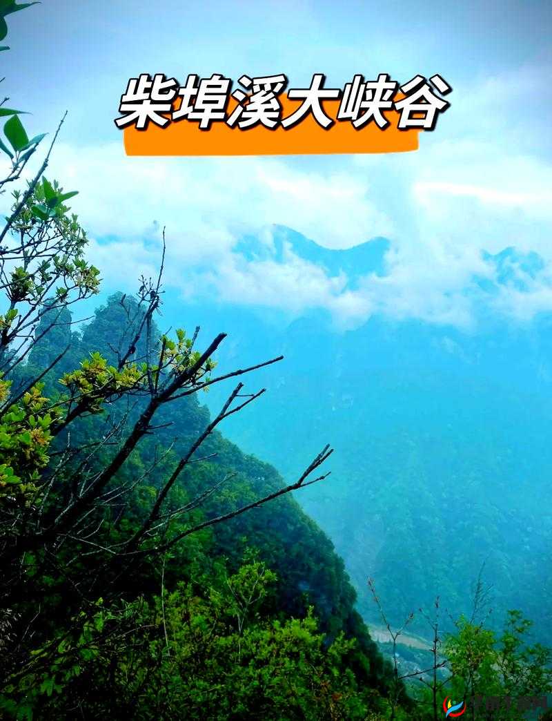 抖阴旅行射张家界董小宛:探秘仙境之旅