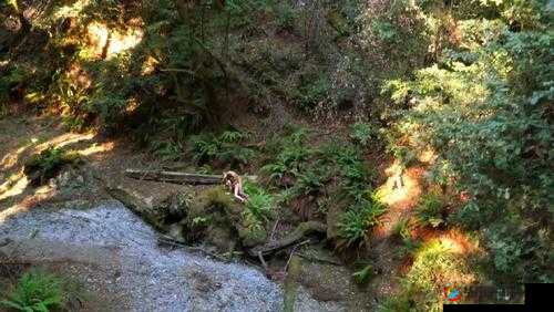 荒野：欧美野外激情