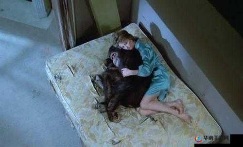 人兽交 747474：禁忌与扭曲的探索