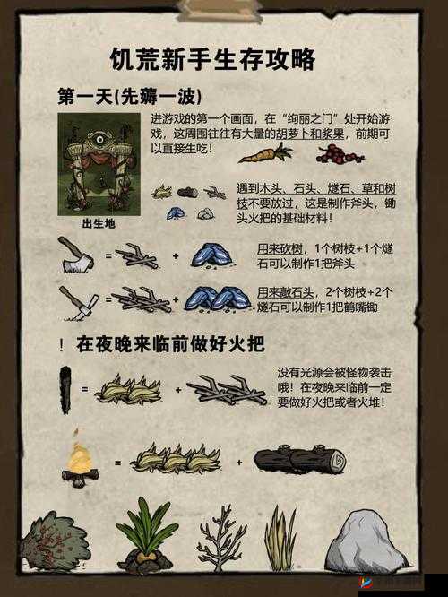 食人鲨攻略：生存技巧与细节详解