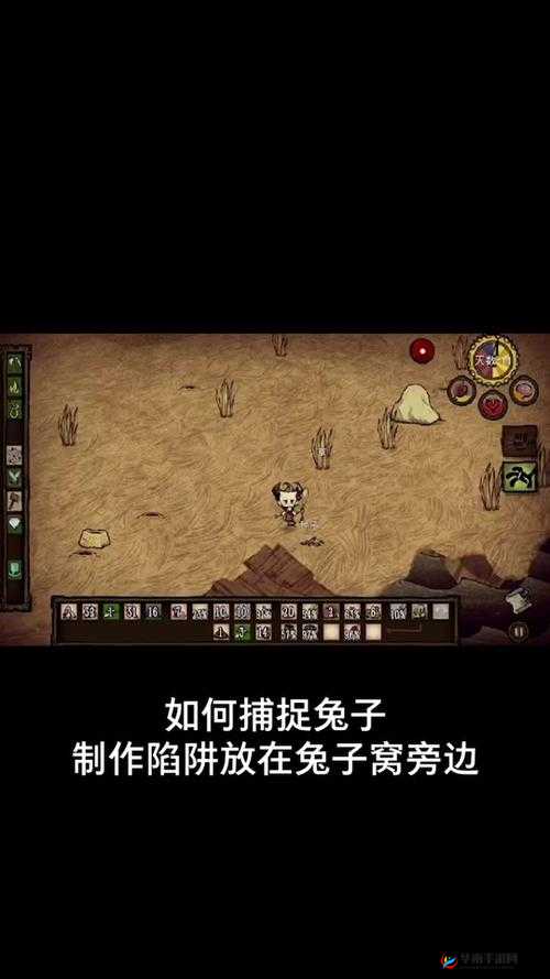 饥荒兔子窝制作指南：从材料到成品的全流程