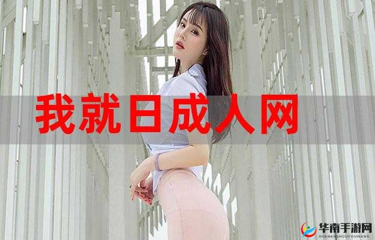 亚洲成人影院在线观看：激情无限的私密世界