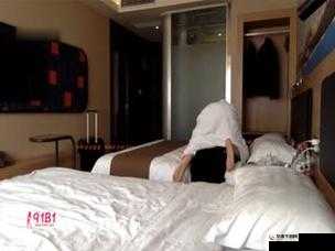 呆哥双飞的奇妙冒险