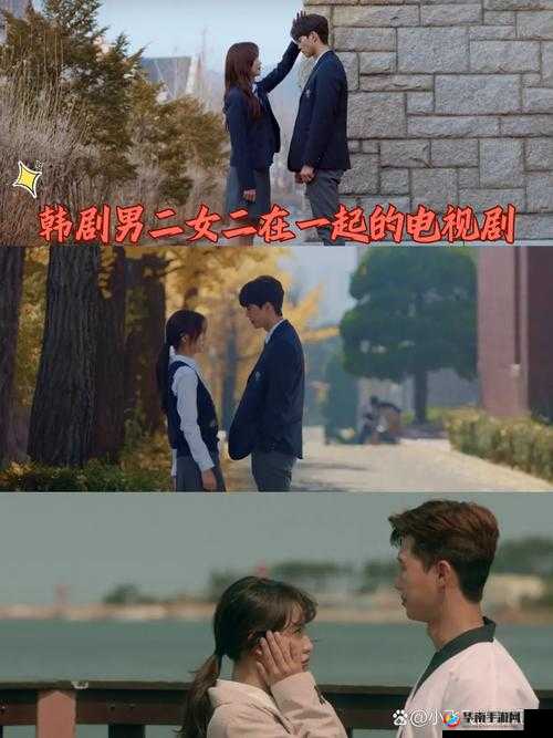 男二女二在一起的韩剧有哪些:经典剧集盘点