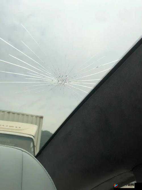 9 分 10 秒头撞玻璃:这是怎么回事