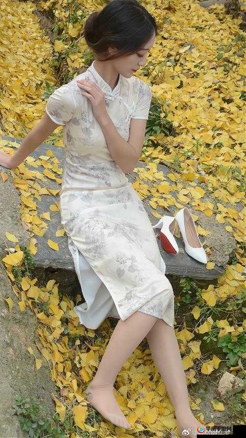 古典武侠制服丝袜:侠骨柔肠与性感的完美结合