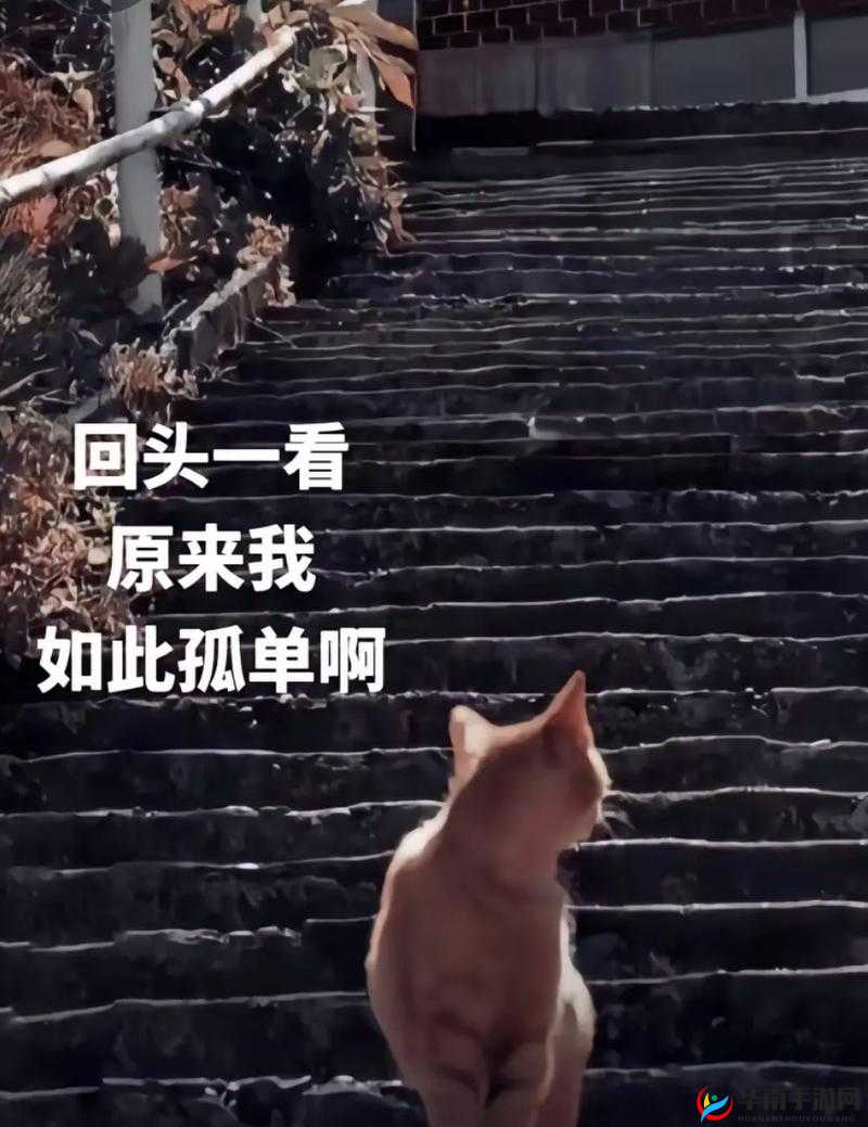 只要一顶嘴就会被主人扇巴掌：可怕的主仆关系