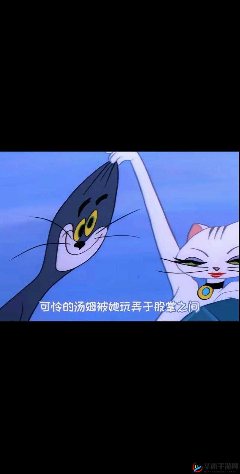 汤姆tom 最新地域网名：探索未知的地域之旅