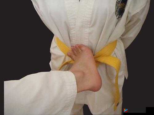 伽罗ちゃんが腿法教程：教你成为腿法达人