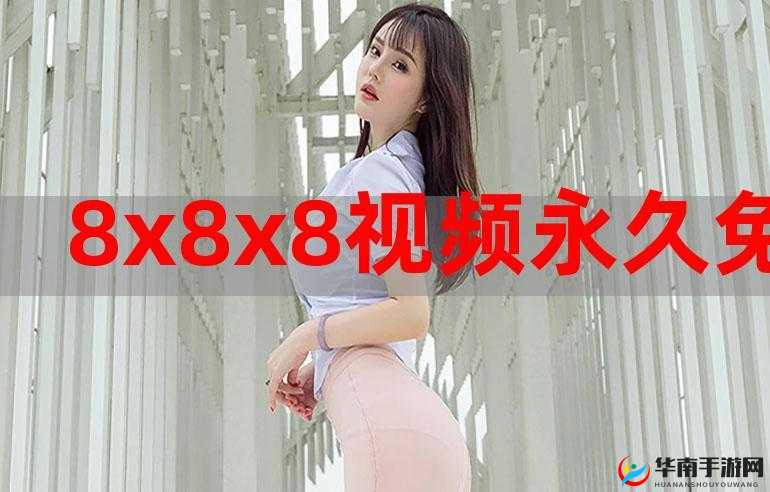 8x8x 狂暴欧美日韩必备之精彩合集