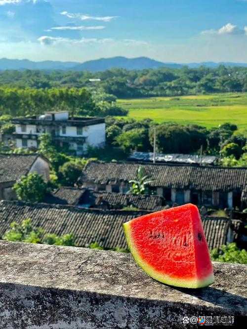 饥荒森林草皮：功能详解与代码属性介绍，解锁草皮资源的无限可能性探索