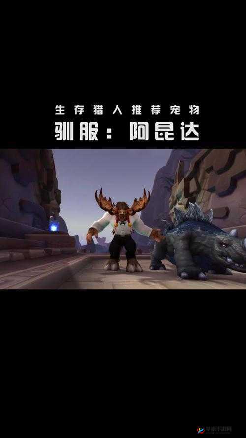 魔兽世界8.0阿昆达之噬哪里多？阿昆达之噬采集路线及地点介绍