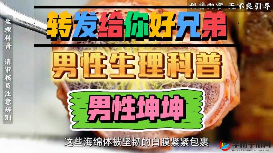 男生将坤坤放入女生坤坤的行为探讨