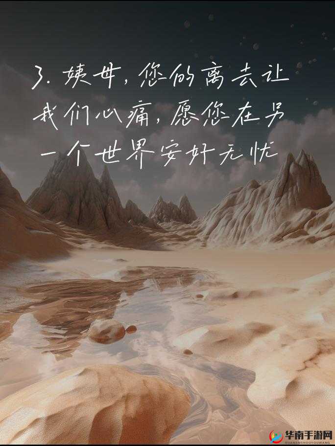 在姨母家的遗憾:那些未实现的梦