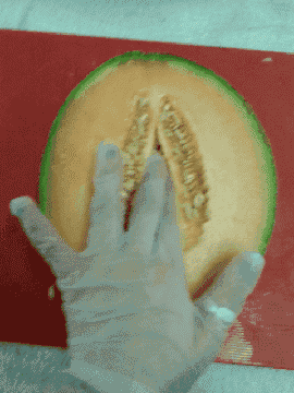 舔阴秀：一种引人争议的表演形式