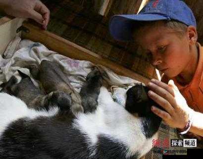 嘼交变态Ⅴideossexhd：探索人类性行为的极限