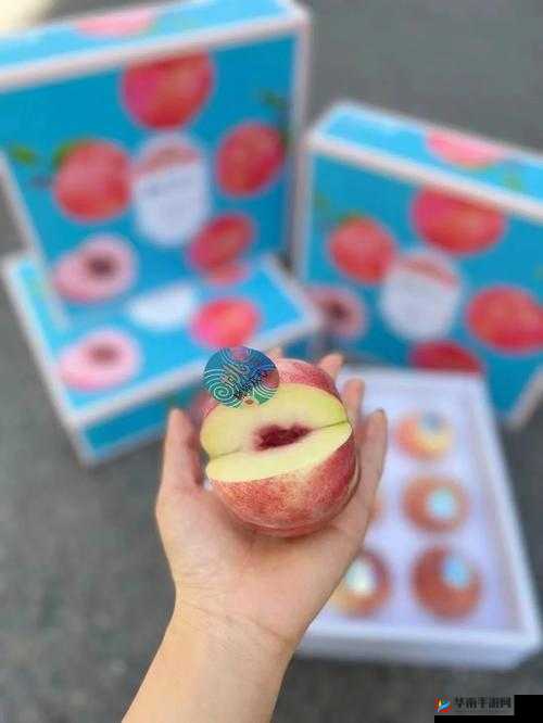 蜜桃my1688com：相关介绍