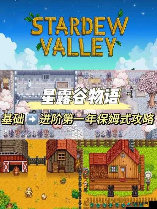 星露谷物语中鸡窝的正确使用秘籍 让你的养鸡事业蒸蒸日上攻略