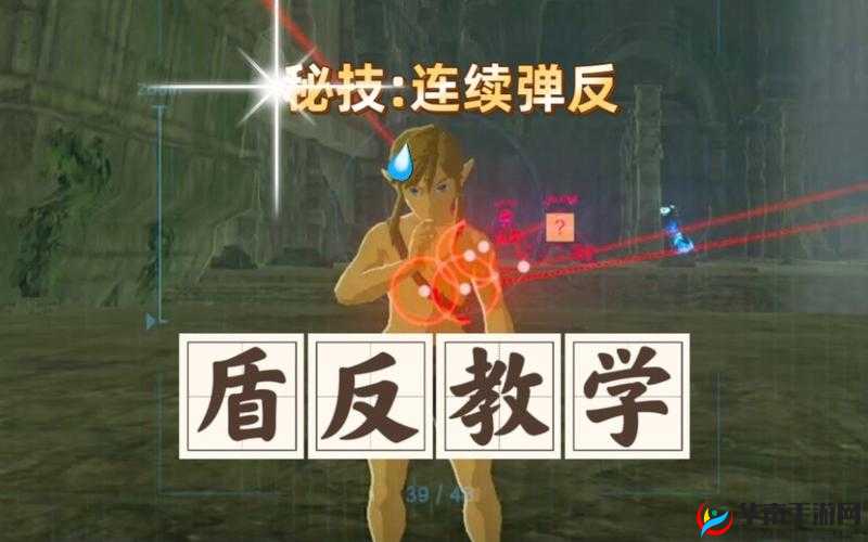 盐反秘技:盾反方法深度解析