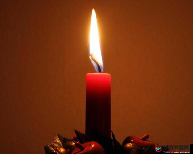 烛芯：点亮趣味的小火苗