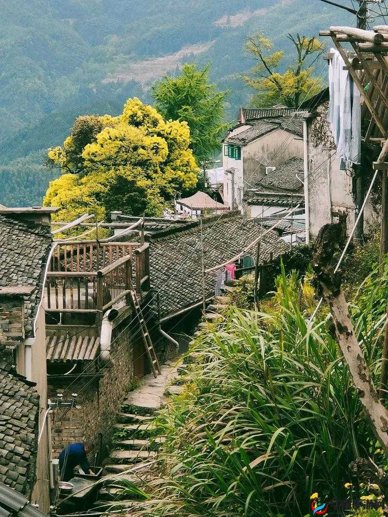 久久高清日韩农村：独特的乡村风情