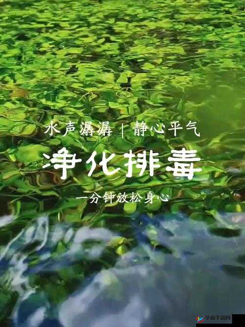 大爷帮你排毒：一场奇特的身体净化之旅